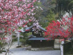 dairenji2